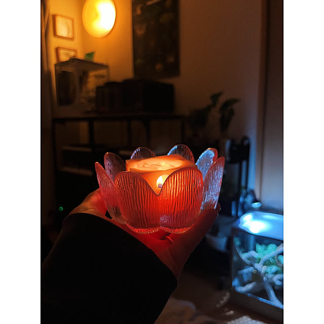 w_end_0625さんの実例写真