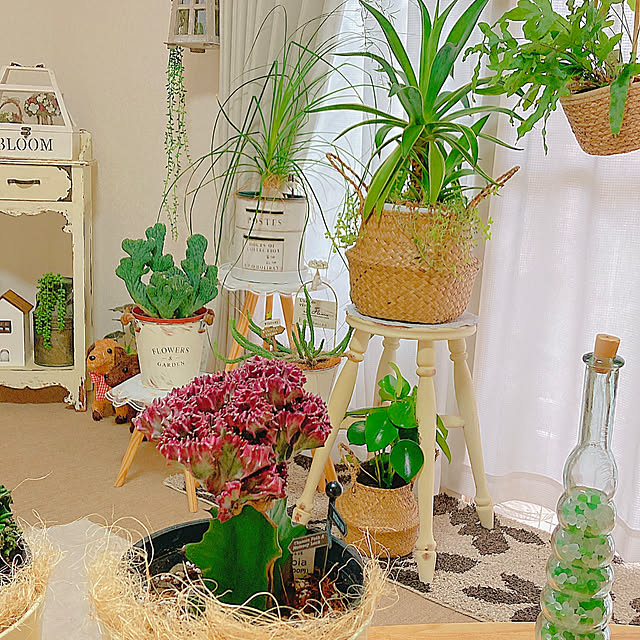 Hanakaさんの部屋