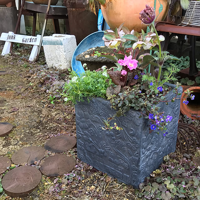 kokko3さんの実例写真