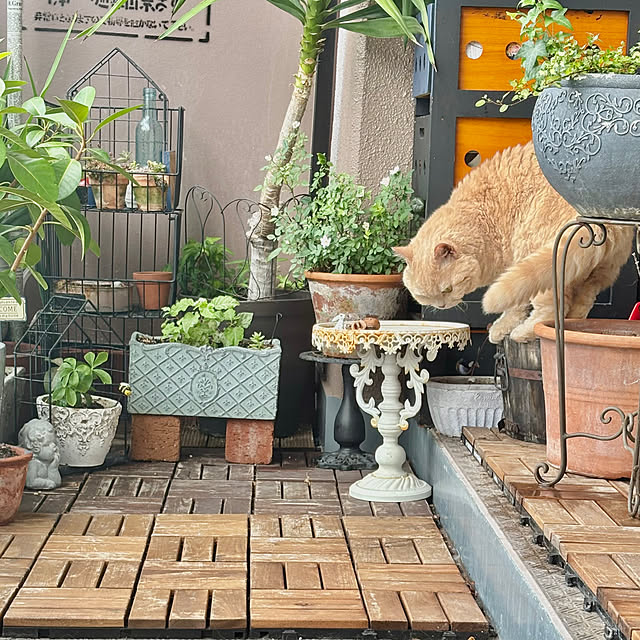 naokoさんの部屋