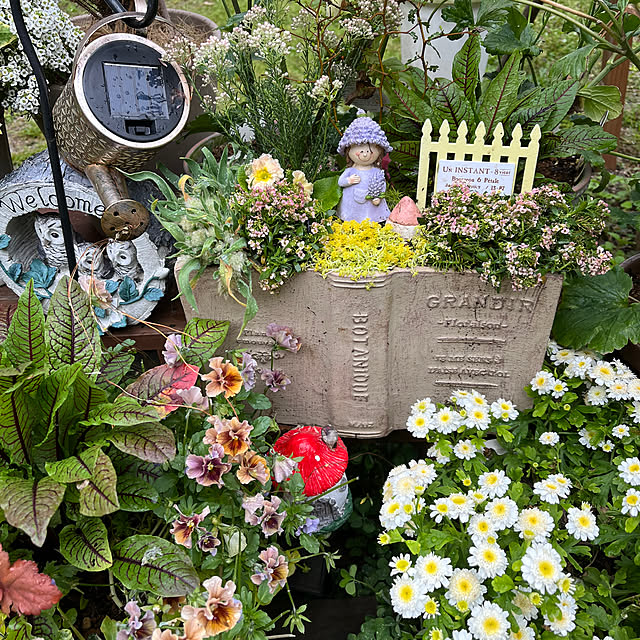 NikoLyさんの実例写真
