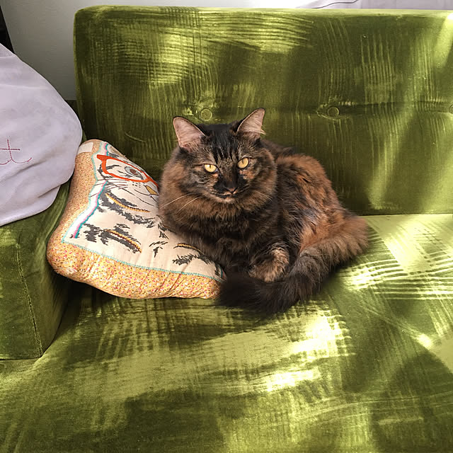 mikomaruさんの実例写真