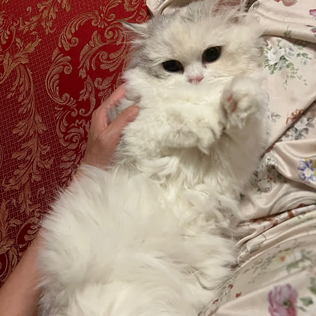 AYUKOさんの部屋