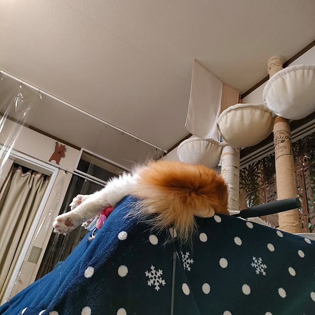 mori_6_12さんの実例写真