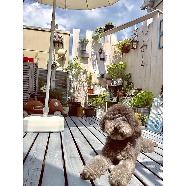 makoriさんの実例写真