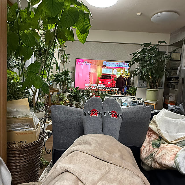 Aqettyさんの実例写真