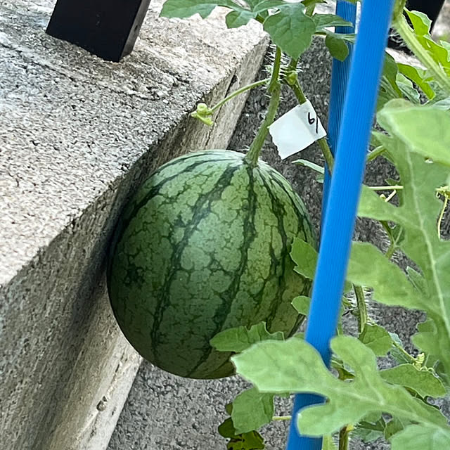 nachiさんの実例写真