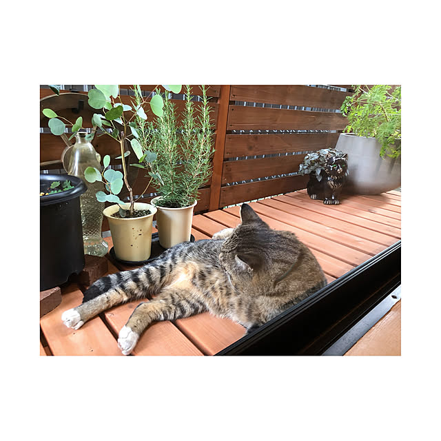 BTGさんの実例写真