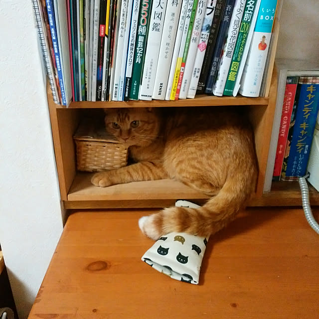 yum0408さんの実例写真