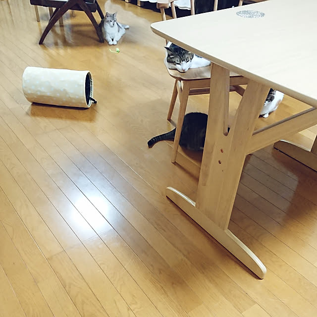 nachiさんの実例写真