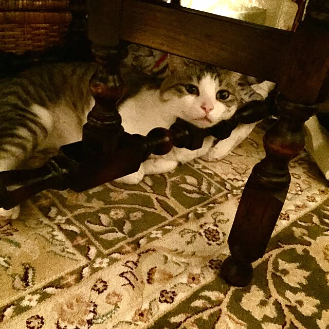 emmyyさんの実例写真