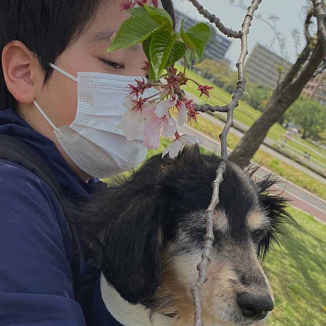 ohanaさんの部屋
