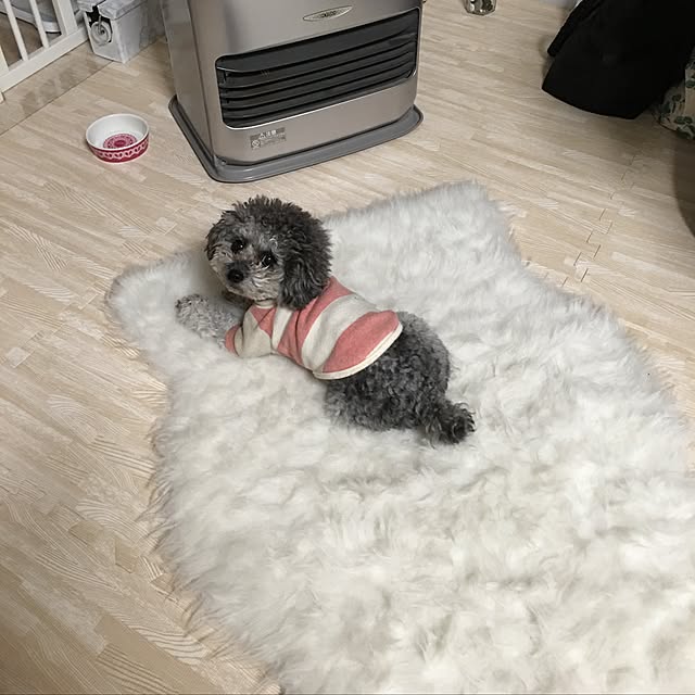 chocomamaさんの実例写真