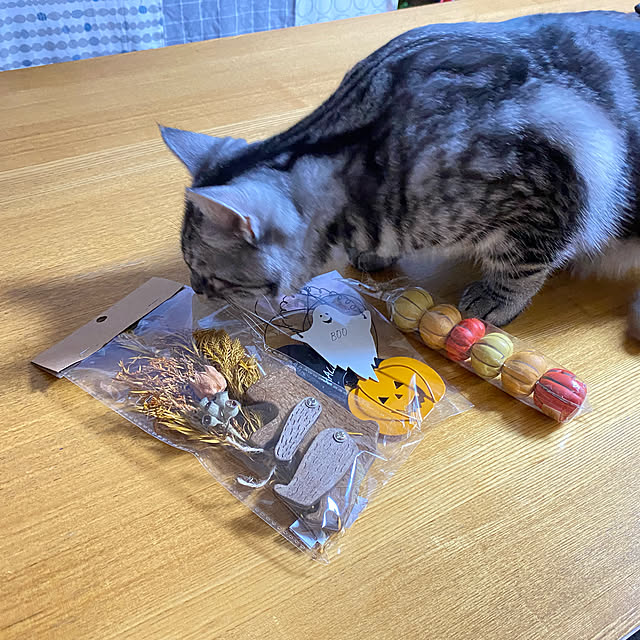 yuzuaoさんの実例写真