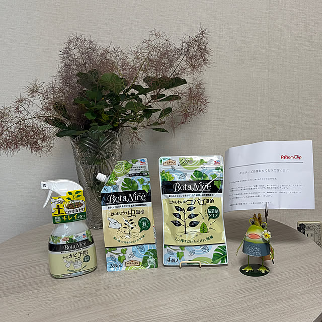 chIoeさんの部屋