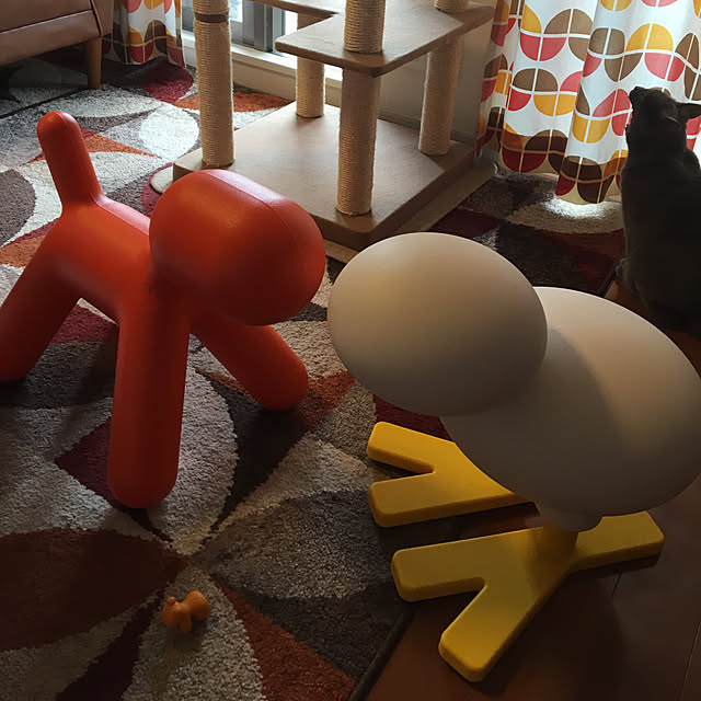 ikettenさんの実例写真