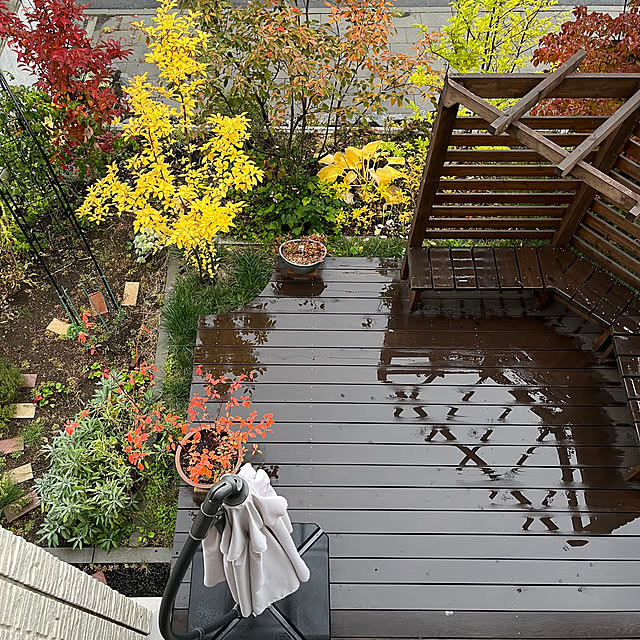 Moeさんの実例写真