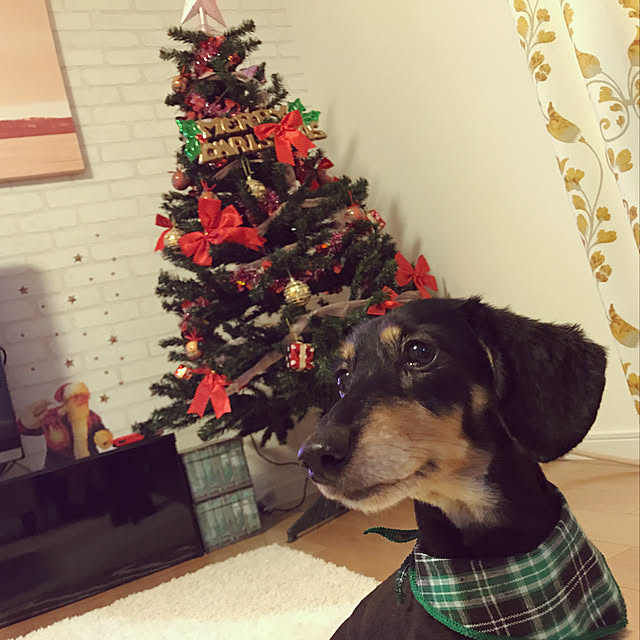 asaminさんの実例写真