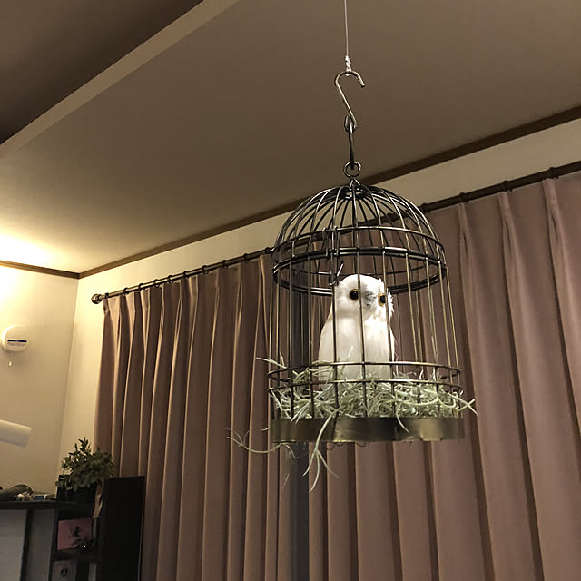 Tomさんの実例写真