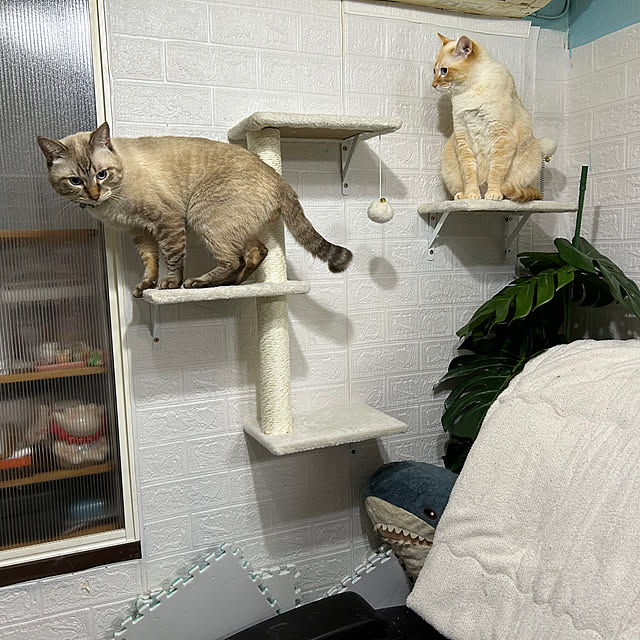 ikunyanさんの部屋