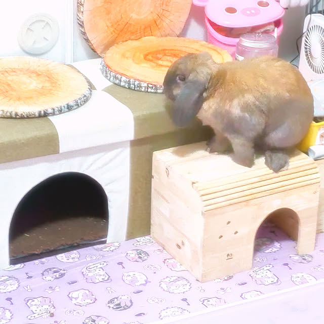 mariaさんの実例写真