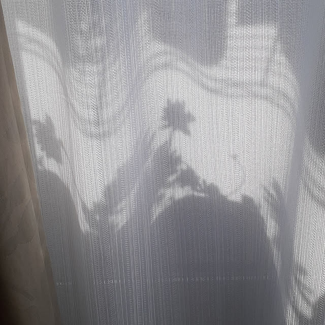 amtさんの実例写真