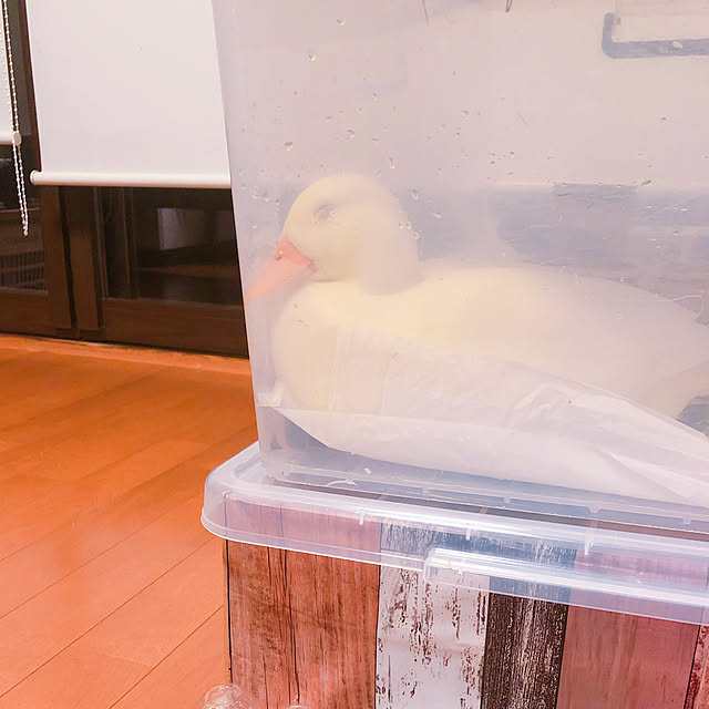 nanaさんの実例写真