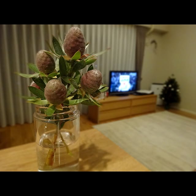 sachi_no_sukeさんの実例写真