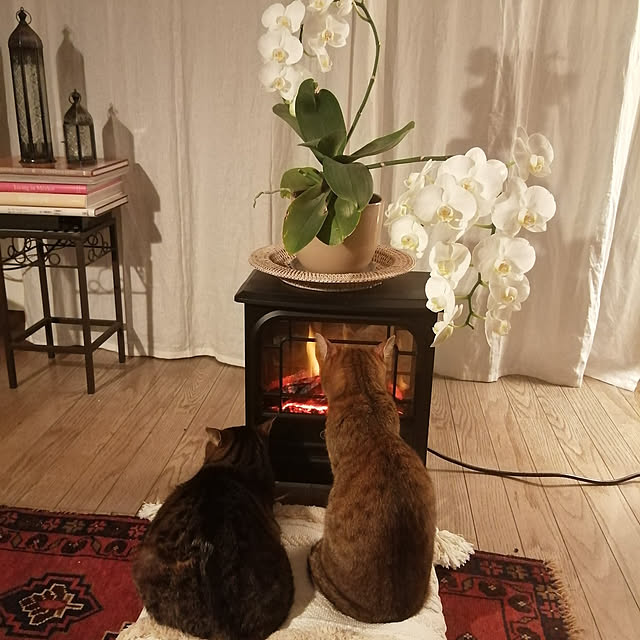 nahocさんの実例写真