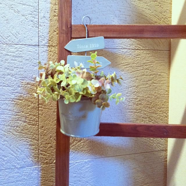todさんの実例写真