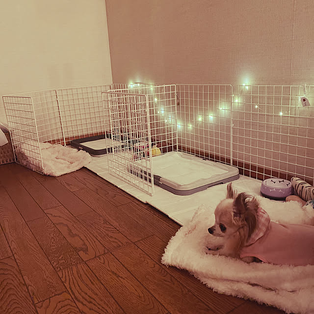 haniさんの実例写真