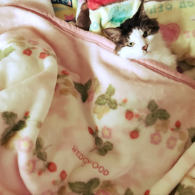 soraさんの実例写真