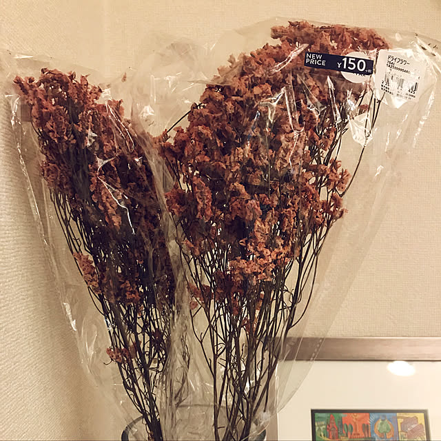 sakさんの実例写真