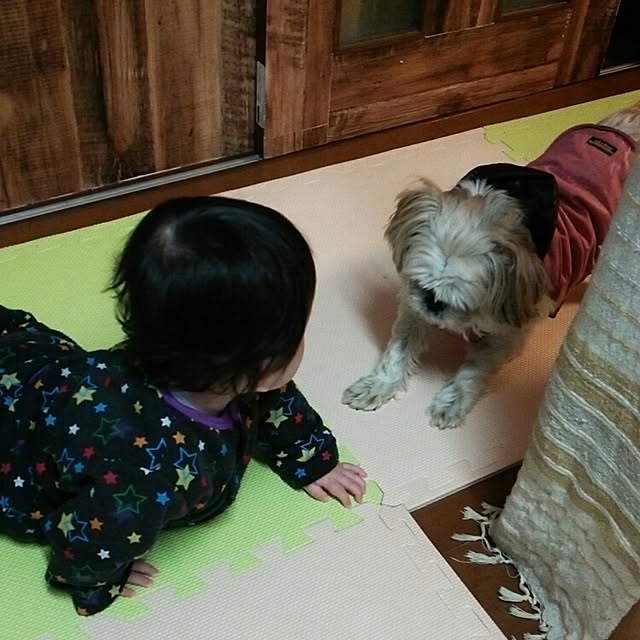chi.chi.chi.930さんの実例写真
