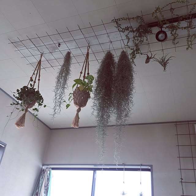 Takaさんの実例写真