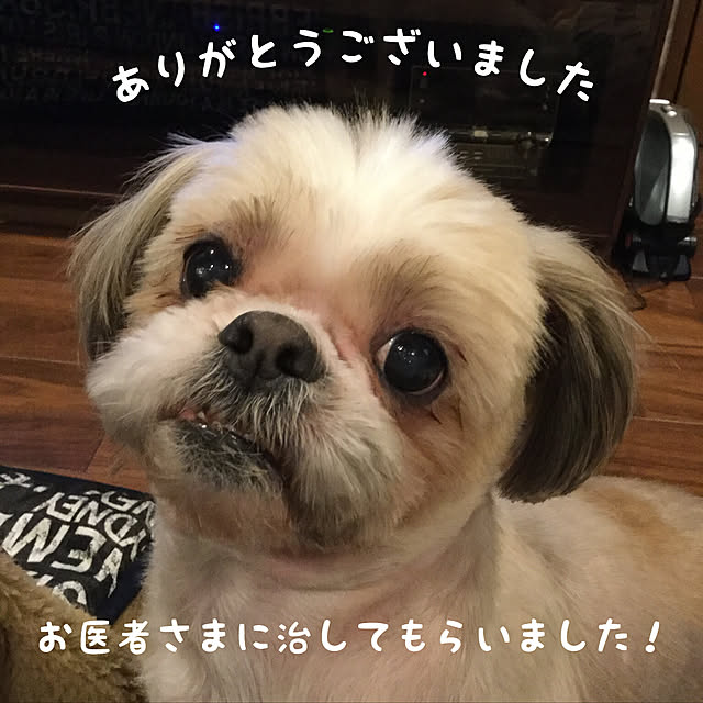 chikaさんの実例写真