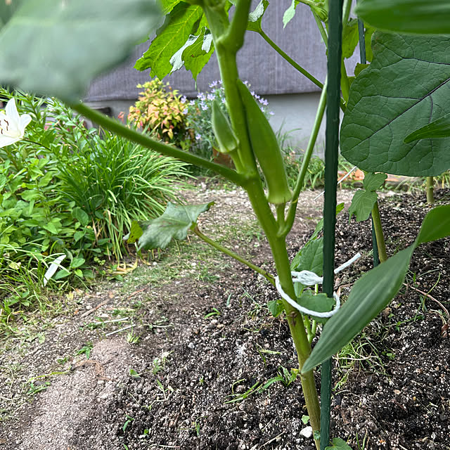 ritsukoさんの部屋