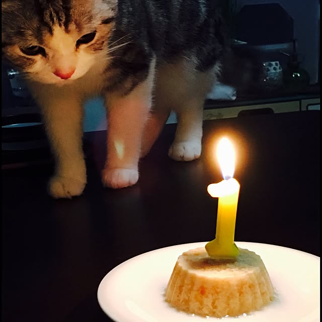 narashimhaさんの実例写真