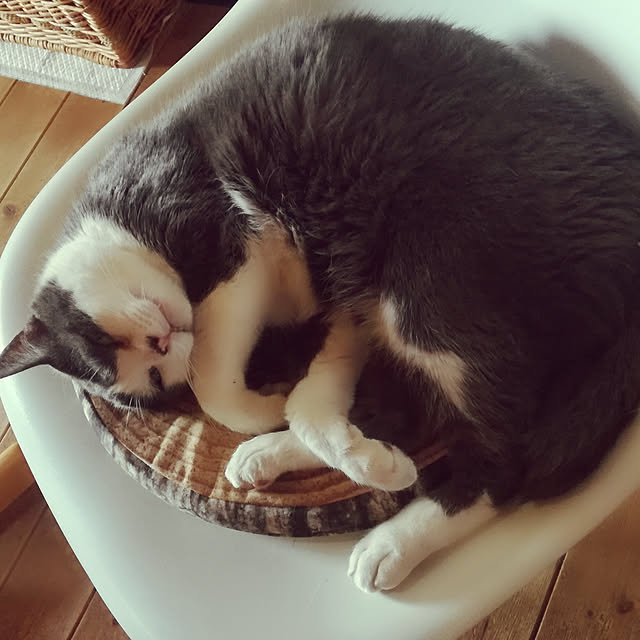 実例写真