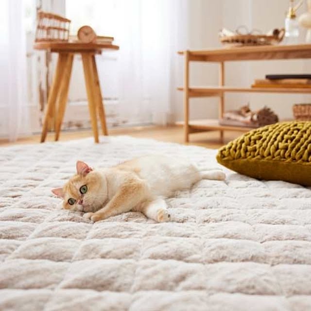 nissenさんの実例写真