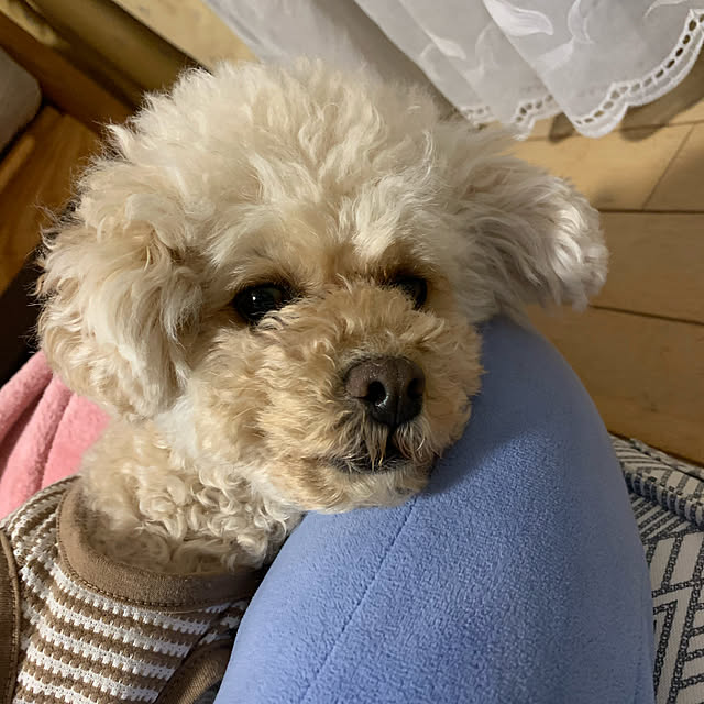 makizoさんの実例写真