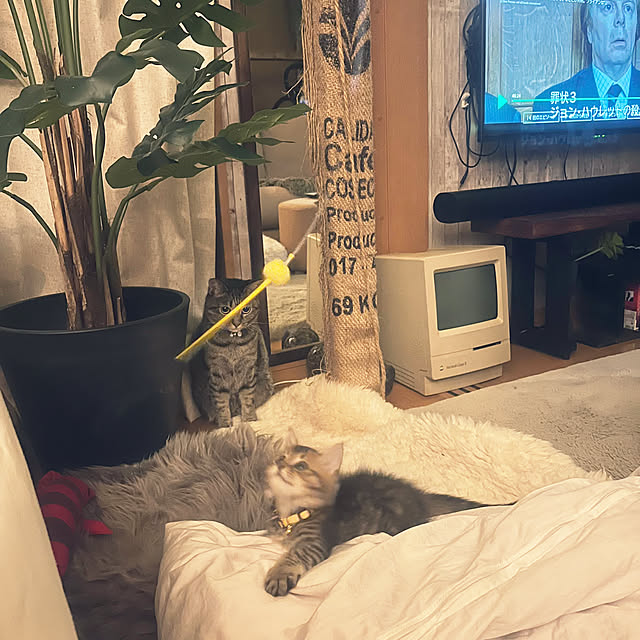 Mさんの実例写真