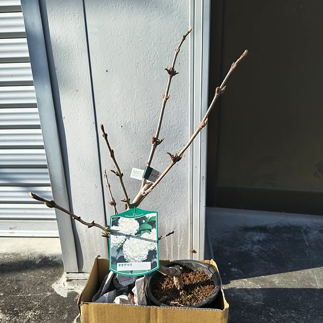 Rubiconさんの部屋