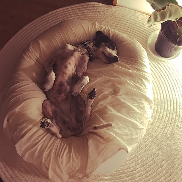 mm319さんの実例写真