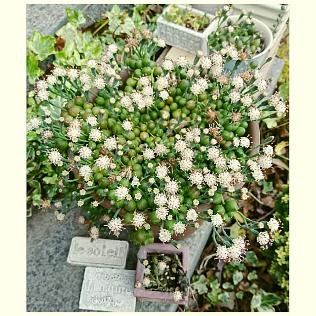 hiroさんの実例写真