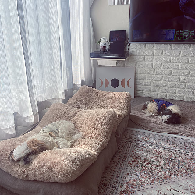 my_homeさんの部屋