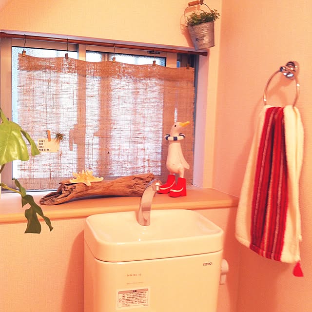 pさんの実例写真
