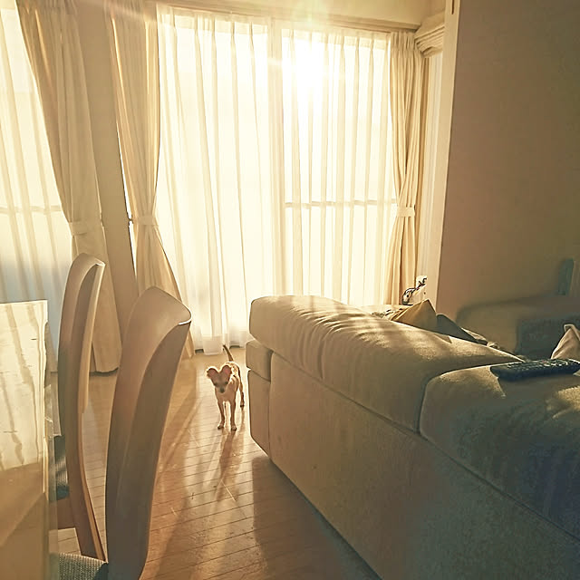 nattimomoさんの実例写真