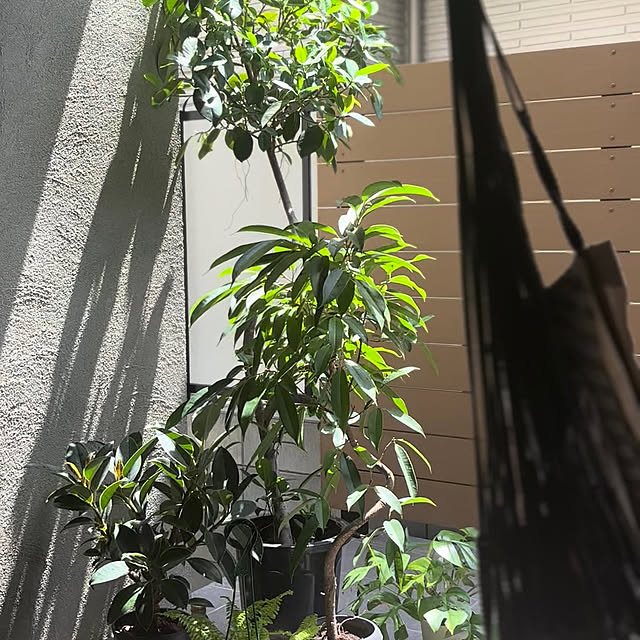 Sakkinさんの部屋