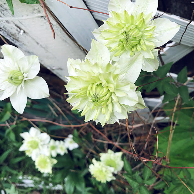 na-chanさんの実例写真